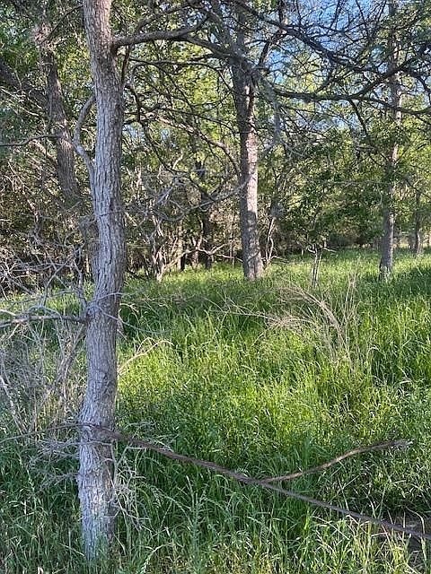 LOT 786 Kaukonahua Ln Bastrop, TX 78602 - Thumbnail 4