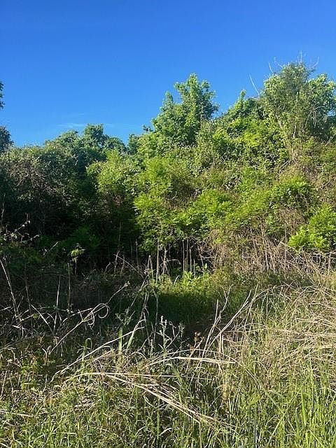 167 Kahana Ln Bastrop, TX 78602 - Thumbnail 4