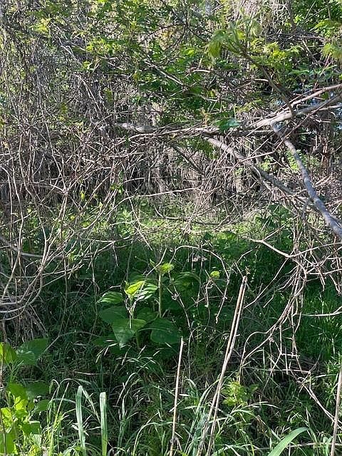 171 Kahana Ln Bastrop, TX 78602 - Thumbnail 4