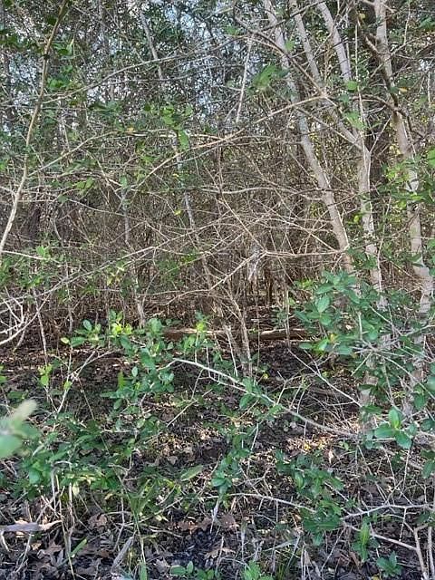 LOT 631 Hilea Ct Bastrop, TX 78602 - Thumbnail 4