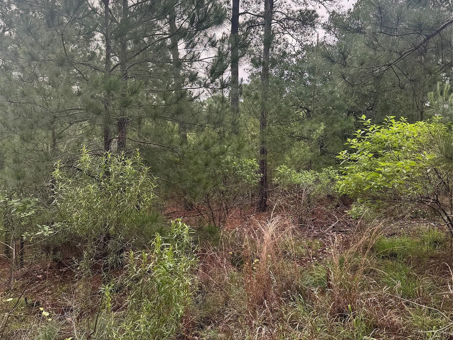 Lots 1490 1491 1492 Haleakala Bastrop, TX 78602 - Thumbnail 4