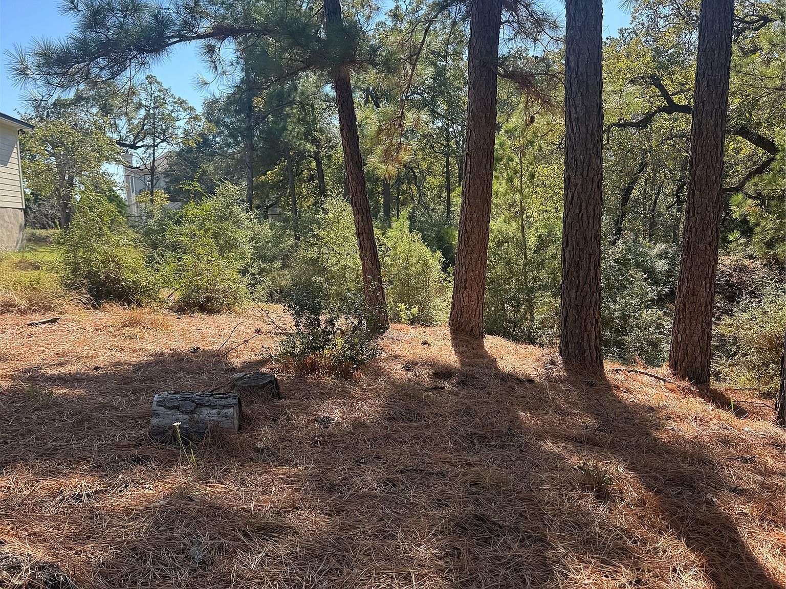 97 Kaelepulu Dr Bastrop, TX 78602 - Thumbnail 4