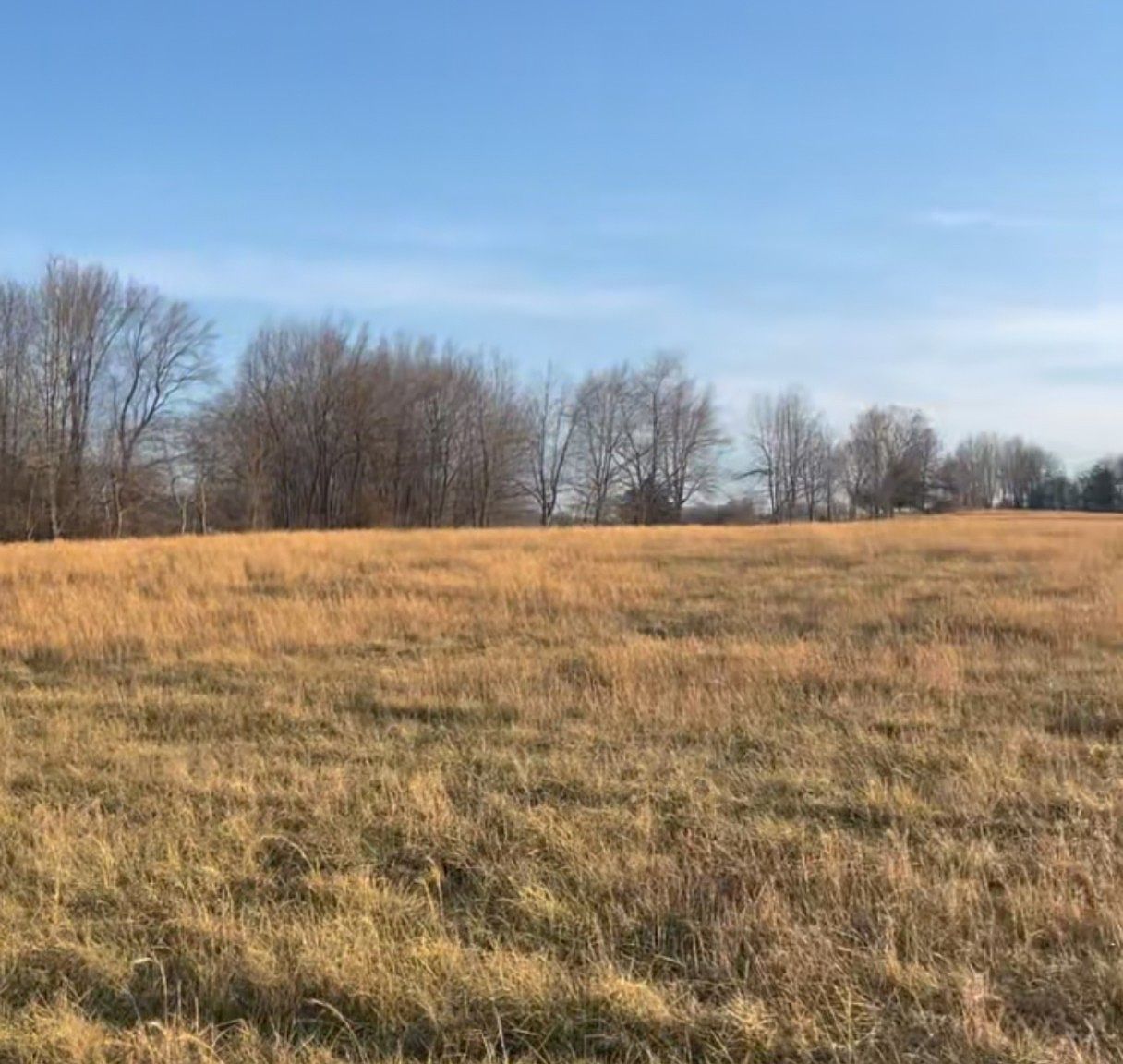 0 Thompson Ln Lot 19 Portland, TN 37148 - Thumbnail 4