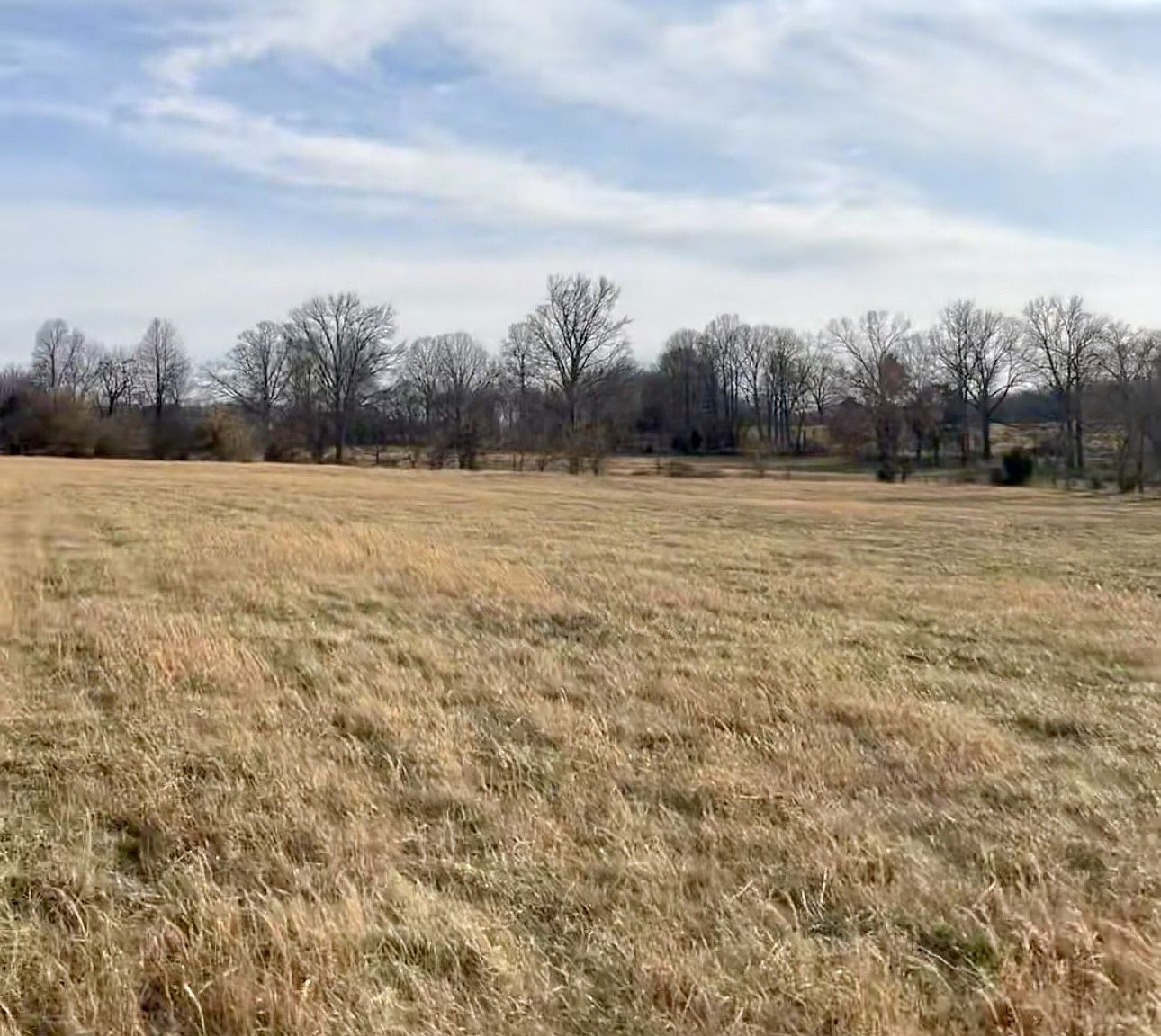 0 Thompson Ln Lot 12 Portland, TN 37148 - Thumbnail 4
