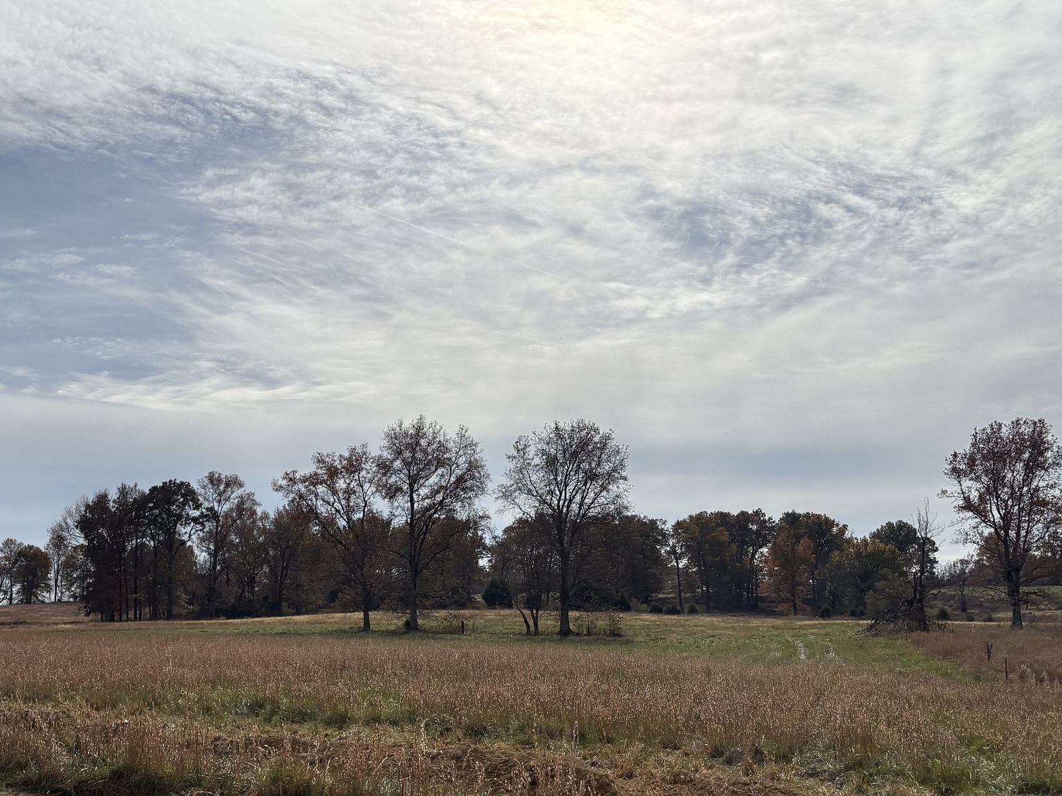 0 Halltown Rd Lot 9 Portland, TN 37148 - Thumbnail 4