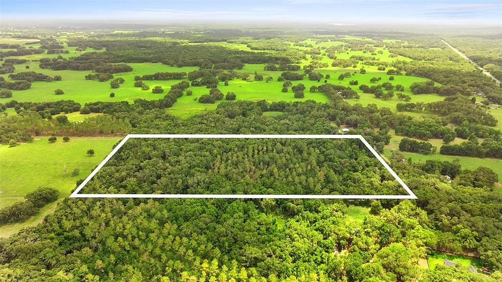 2000 SW 103rd Pl Webster, FL 33597 - Thumbnail 4