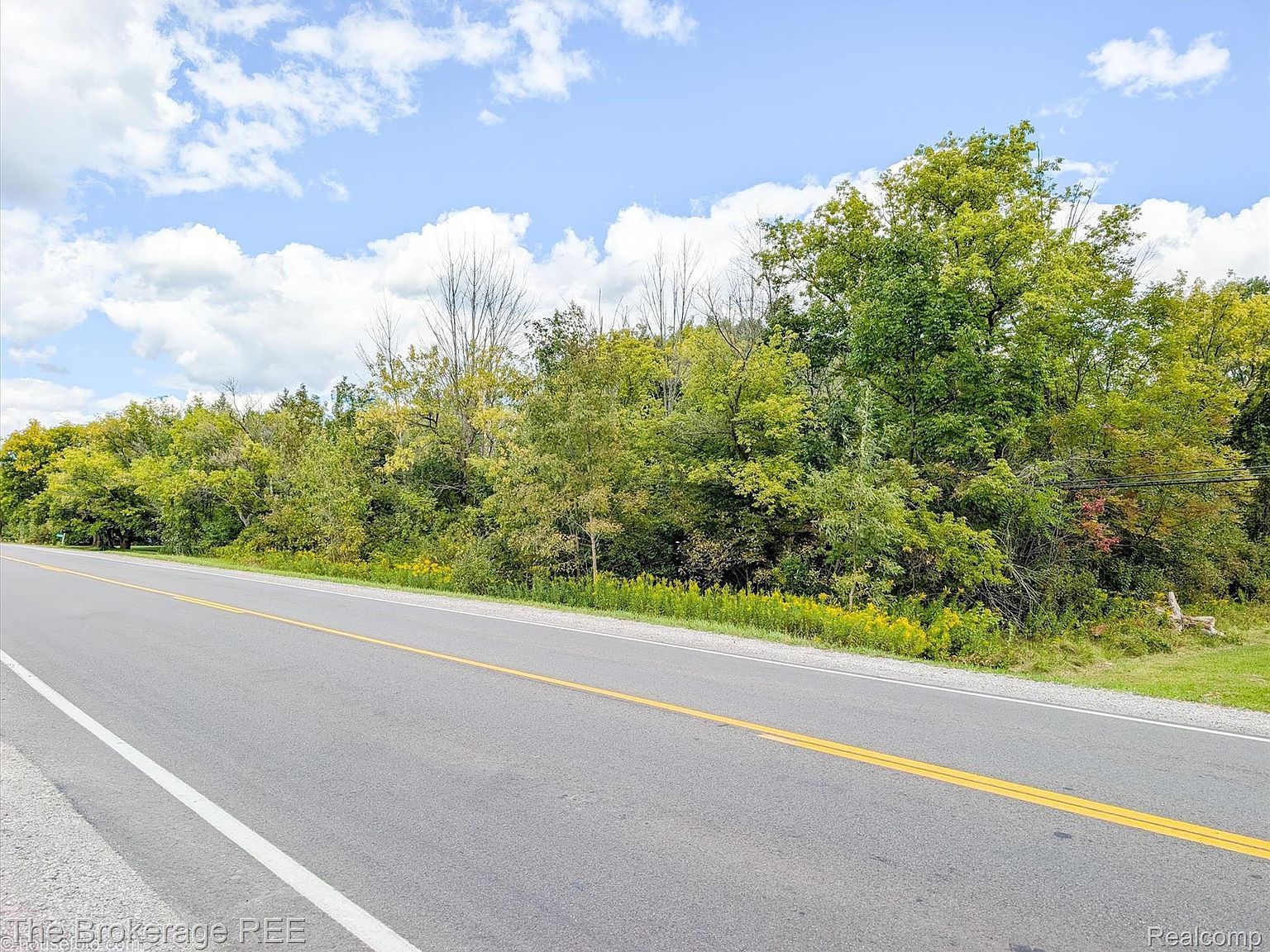 0 Vacant Land N Flint, MI 48532 - Thumbnail 4