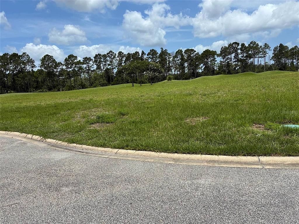 406 Bourganville Dr #311 Palm Coast, FL 32137 - Thumbnail 4