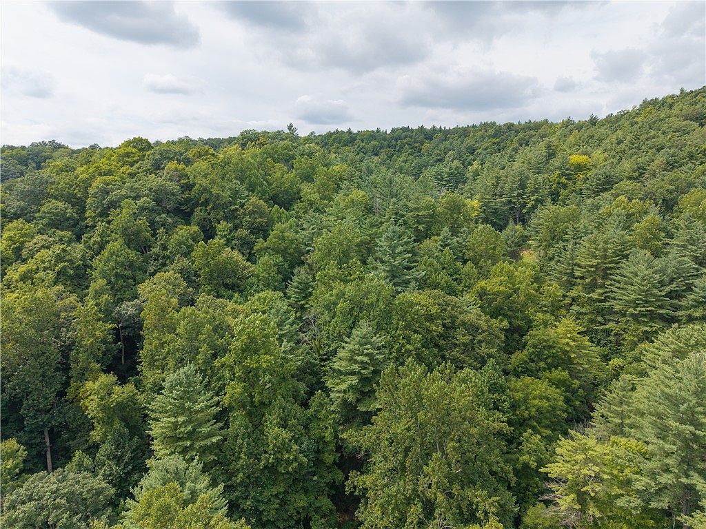 0 Poags Hole Rd #55 Dansville, NY 14437 - Thumbnail 4