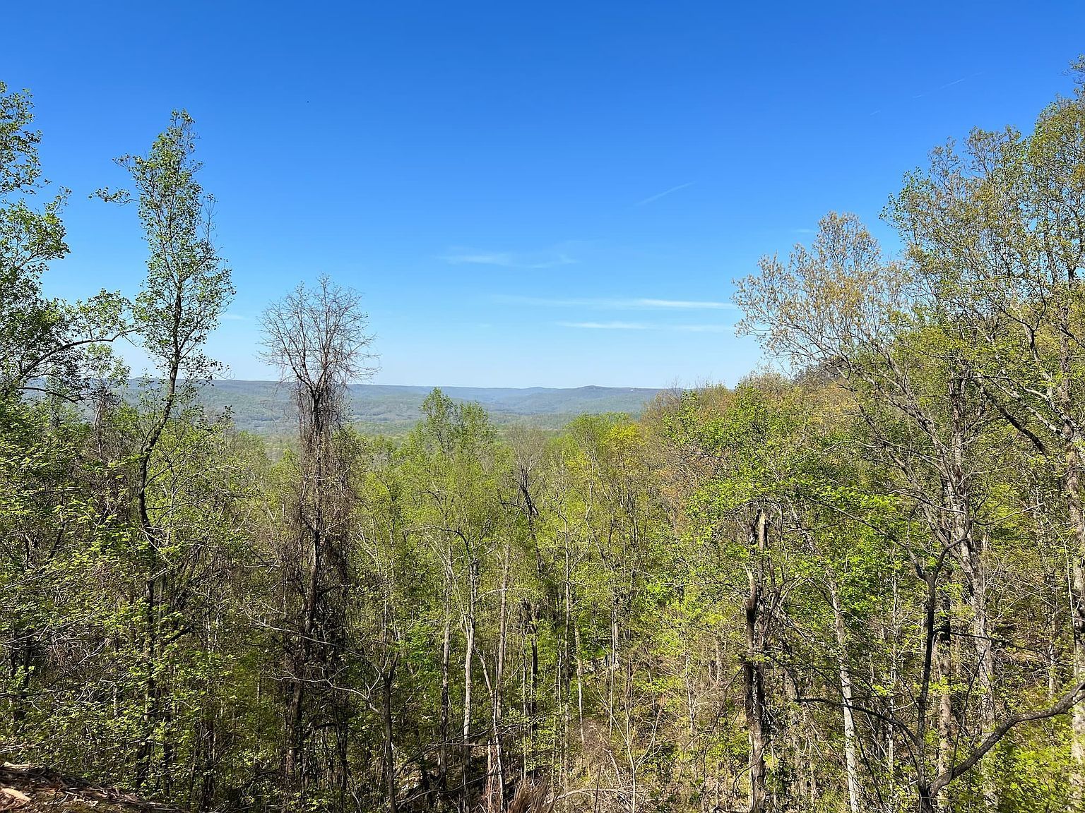 0 Saddleback Dr Lot 98 Dover, TN 37058 - Thumbnail 4