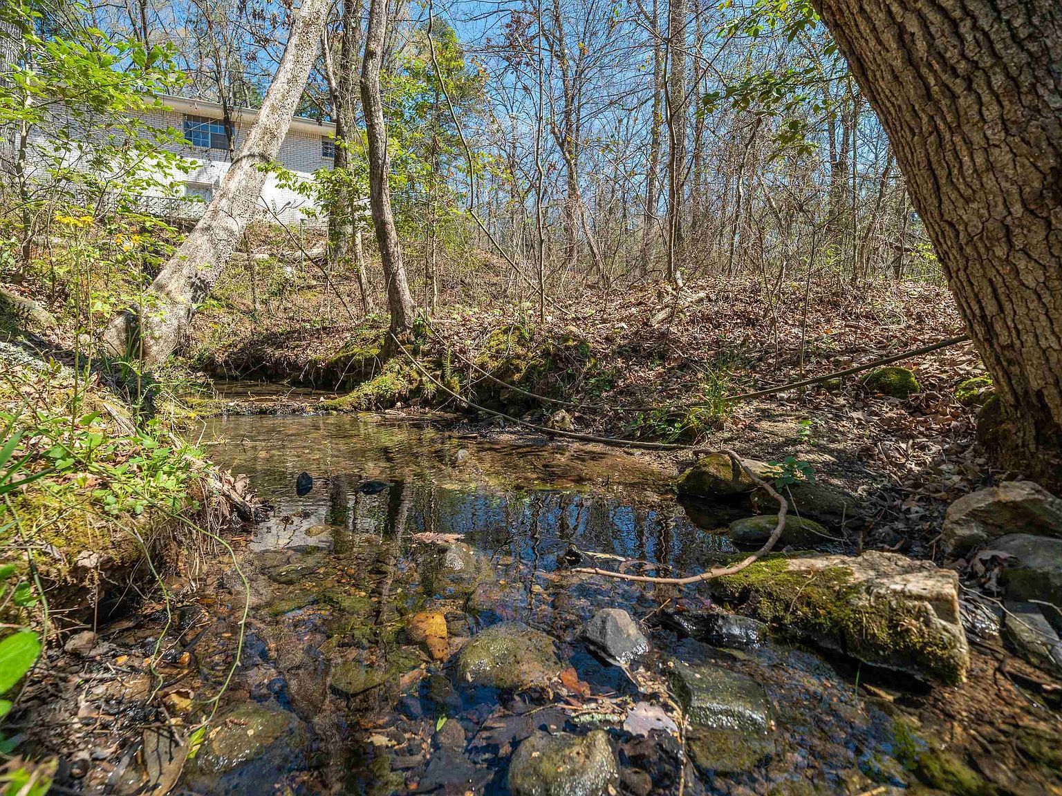 15 Autumn Hills Ln Mount Ida, AR 71957 - Thumbnail 4