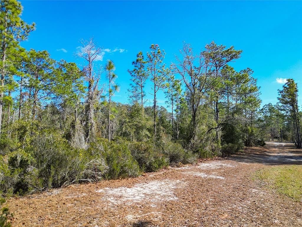 NE 58th St #20 Bronson, FL 32621 - Thumbnail 4