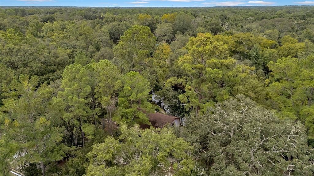 39005 State Road 575 Dade City, FL 33523 - Thumbnail 4