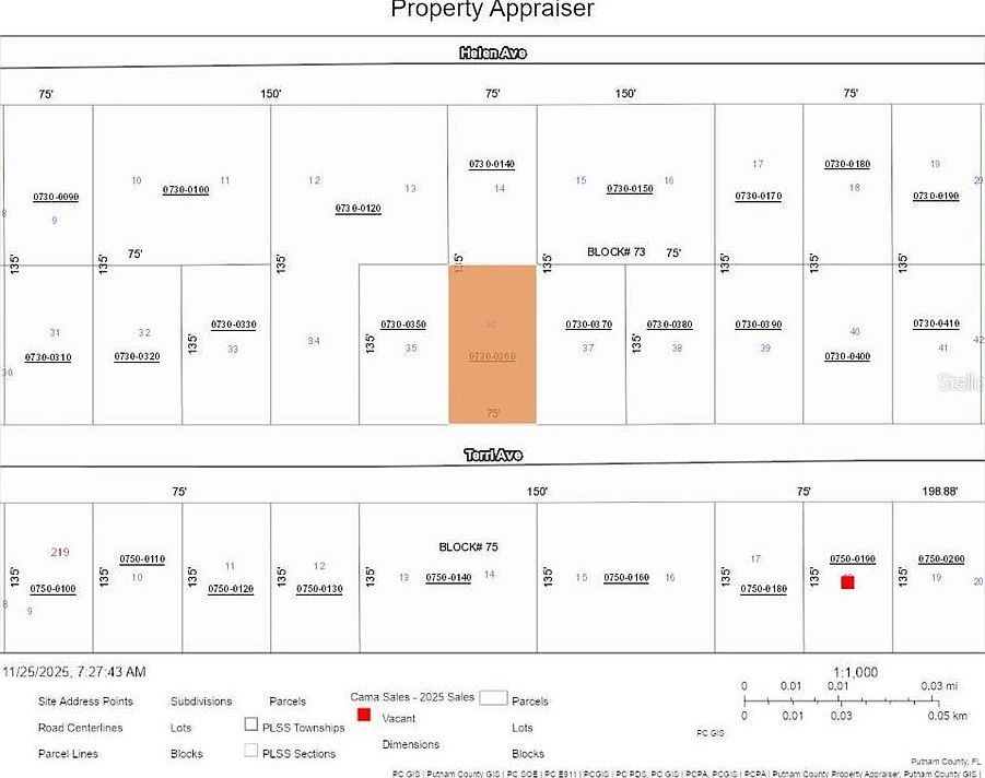 226 Terri Ave LOT 36 Georgetown, FL 32139  | Land/Lot