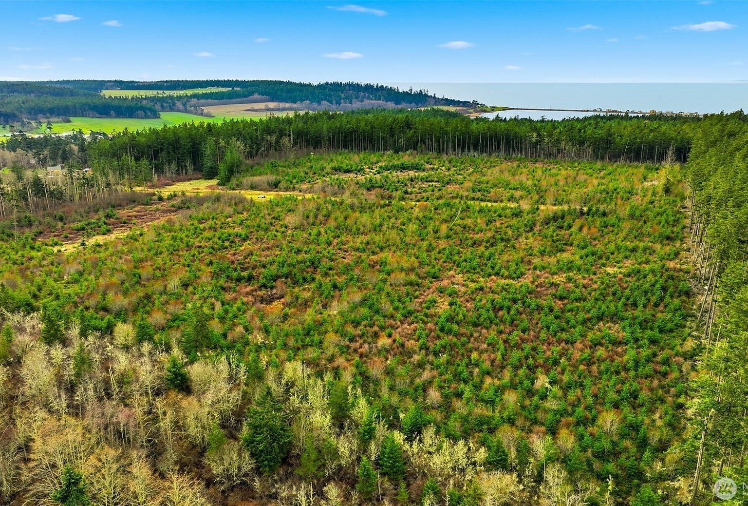 0 Swantown Rd Oak Harbor, WA 98277 - Thumbnail 4