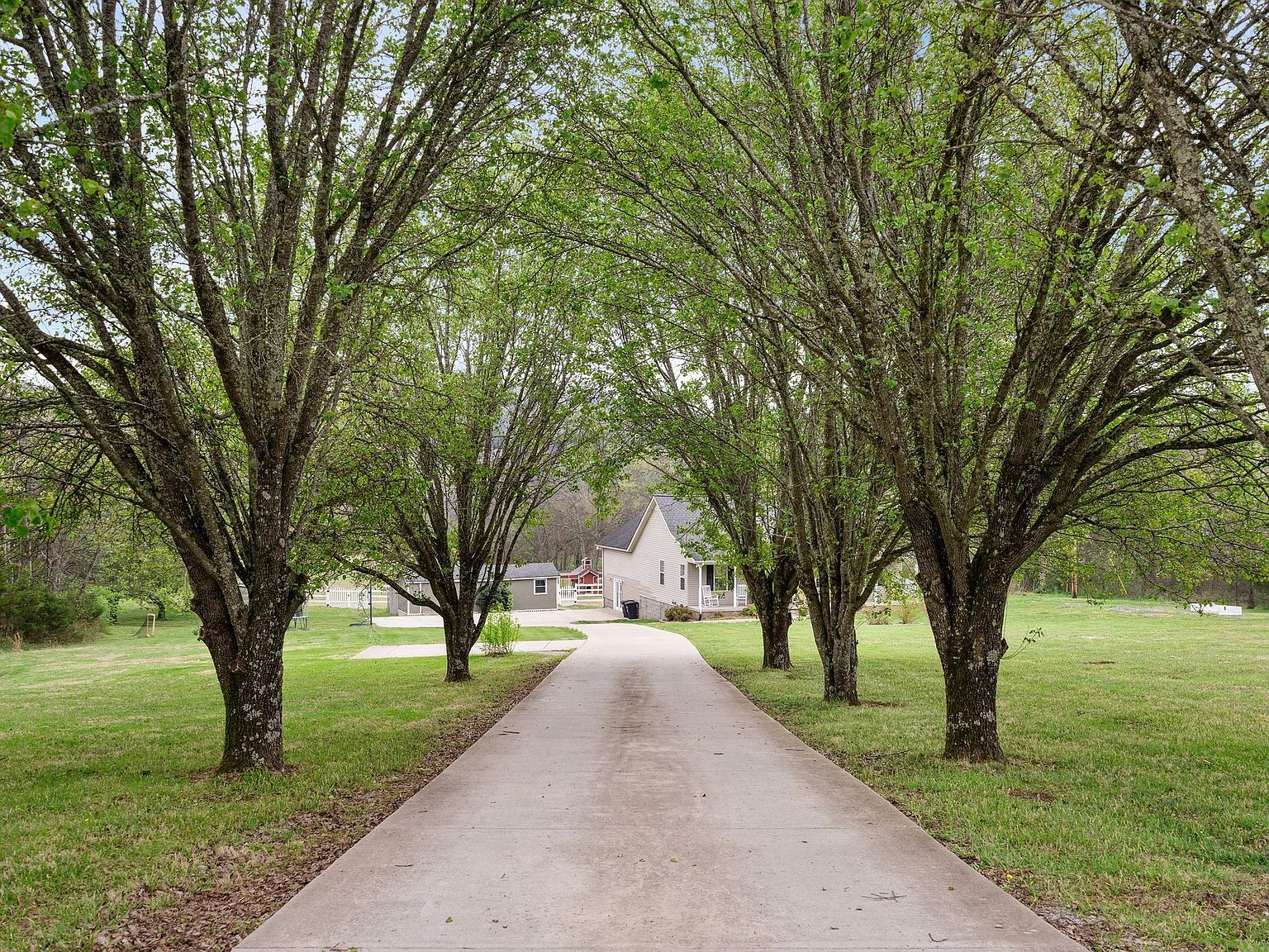 15541 Cainsville Rd Milton, TN 37118 - Thumbnail 4