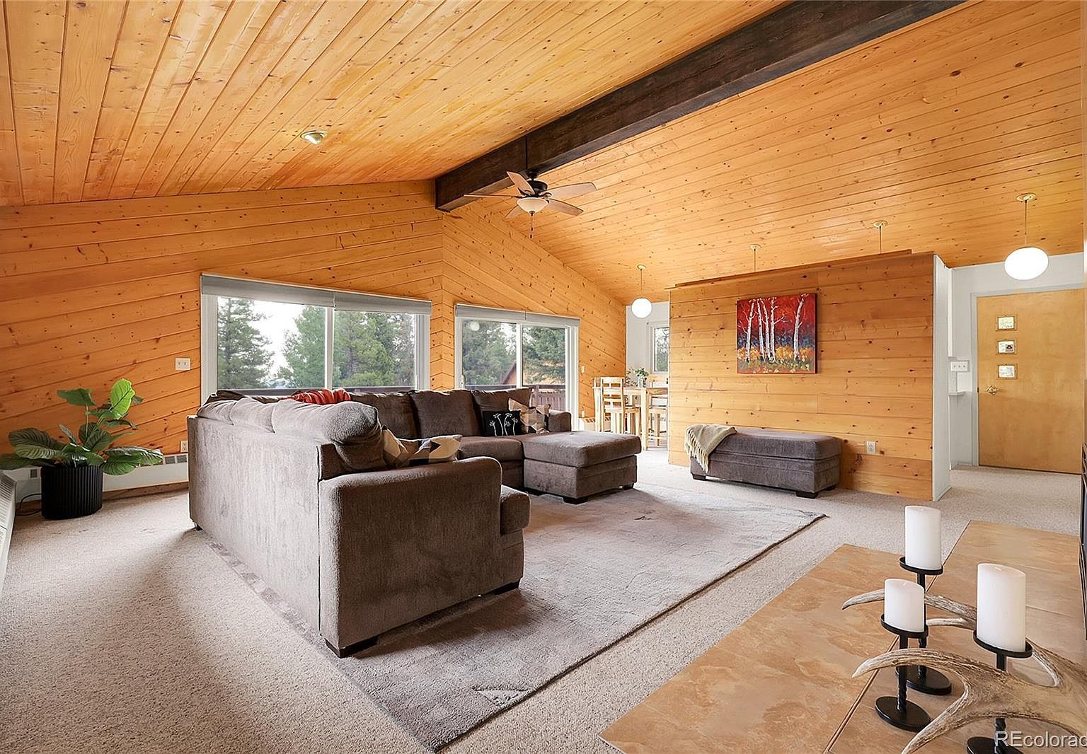 29958 Conifer Mountain Dr Conifer, CO 80433 - Thumbnail 4