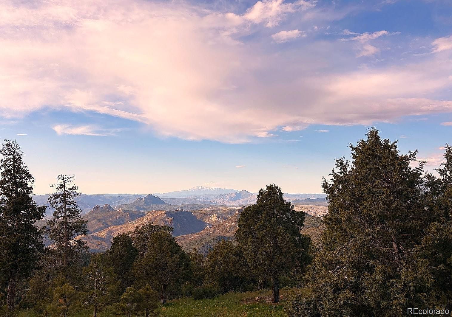 13954 Pine Country Ln Conifer, CO 80433 - Thumbnail 4