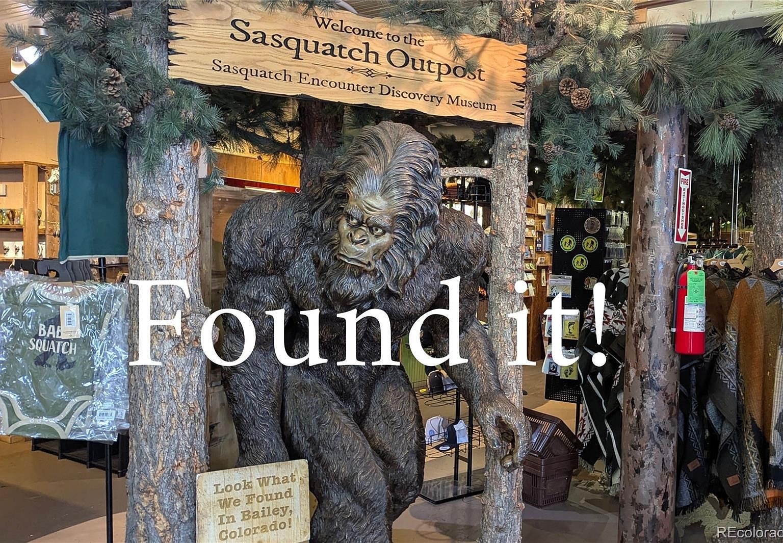 4501 County Road 72 Bailey, CO 80421 - Thumbnail 4