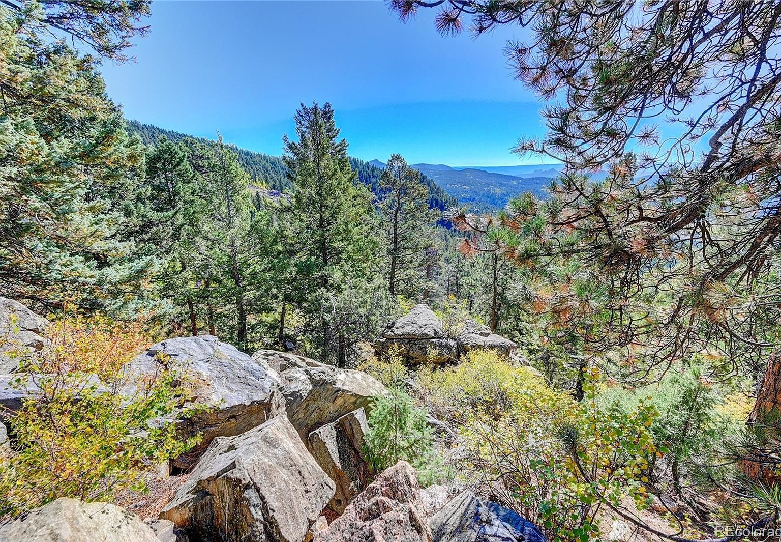 11723 Braun Way Conifer, CO 80433 - Thumbnail 4