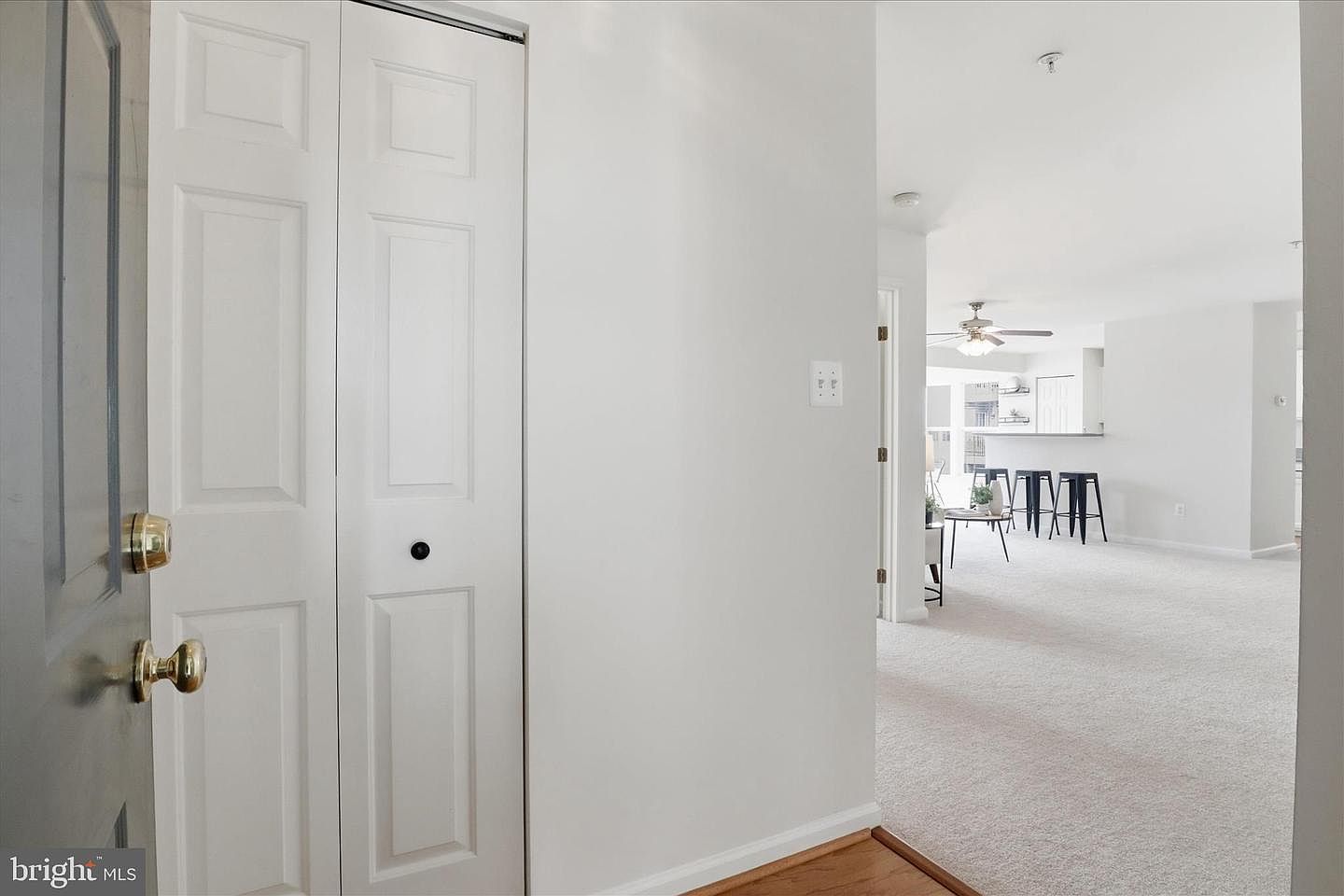 7515 Snowpea Ct #163 Alexandria, VA 22306 - Thumbnail 4