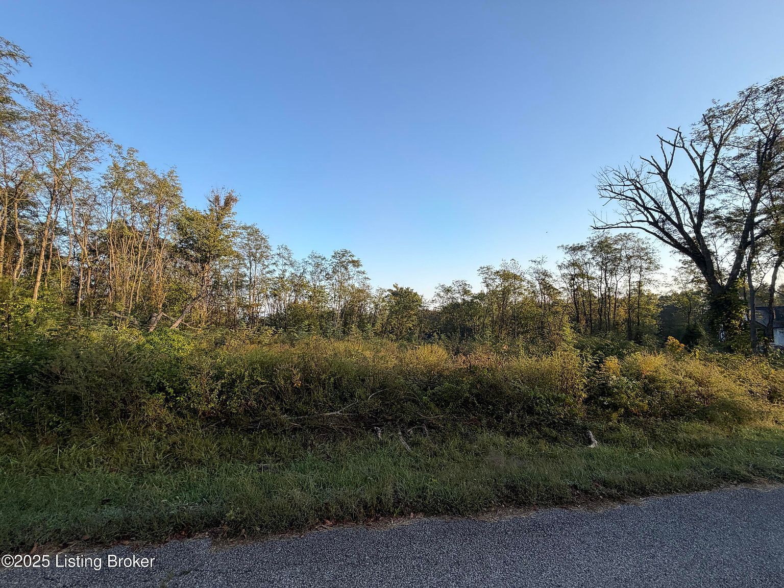 28 Freesia Ct Brandenburg, KY 40108 - Thumbnail 4