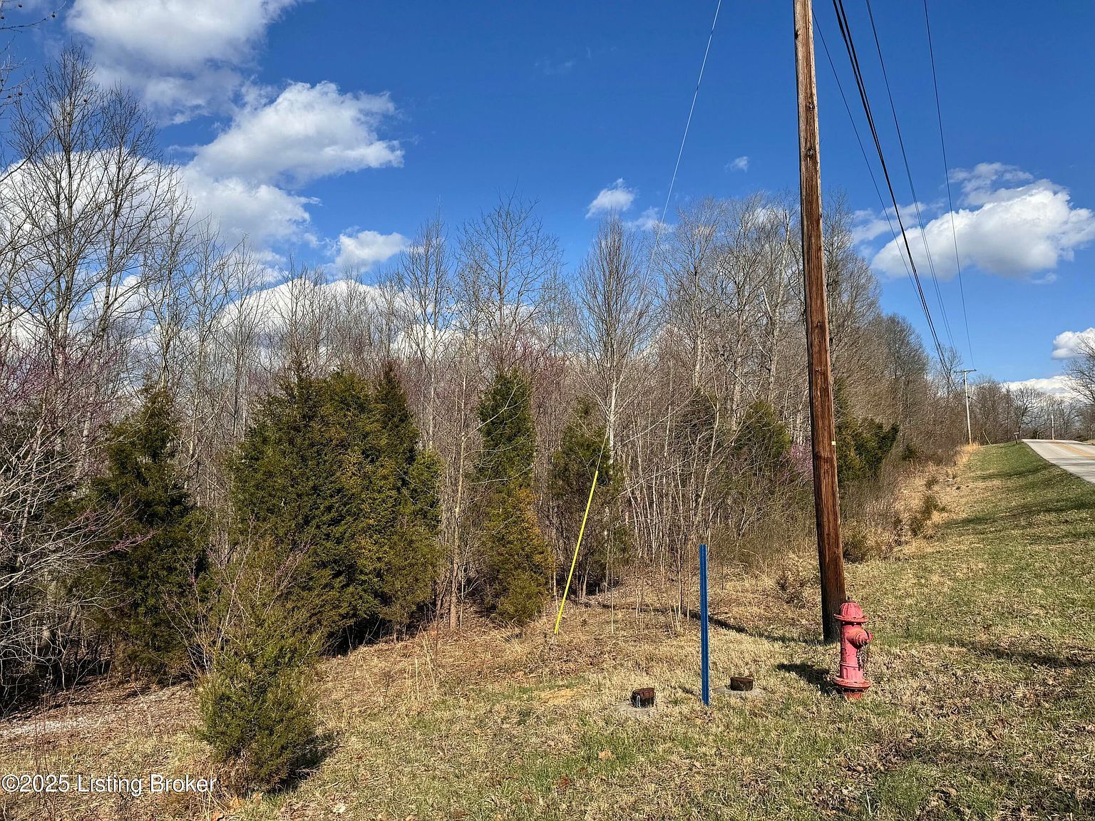 0 Cedar Flats Rd Battletown, KY 40104 - Thumbnail 4