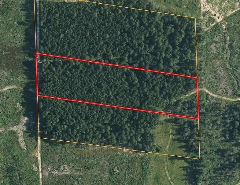 Morgan Cemetary Rd Cleveland, TX 77328 - Thumbnail 4