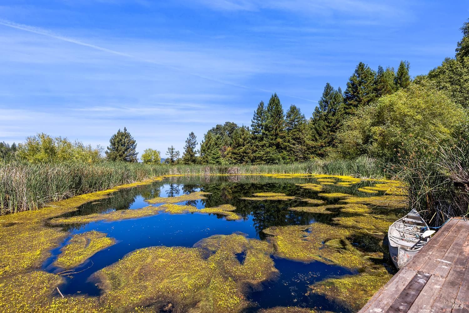 1194 Felta Rd Healdsburg, CA 95448 - Thumbnail 4