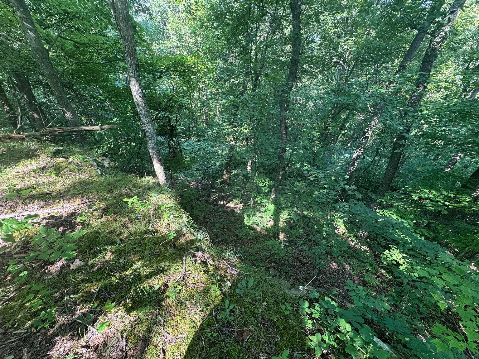 0 State Highway 1050 Jeffersonville, KY 40337 - Thumbnail 4