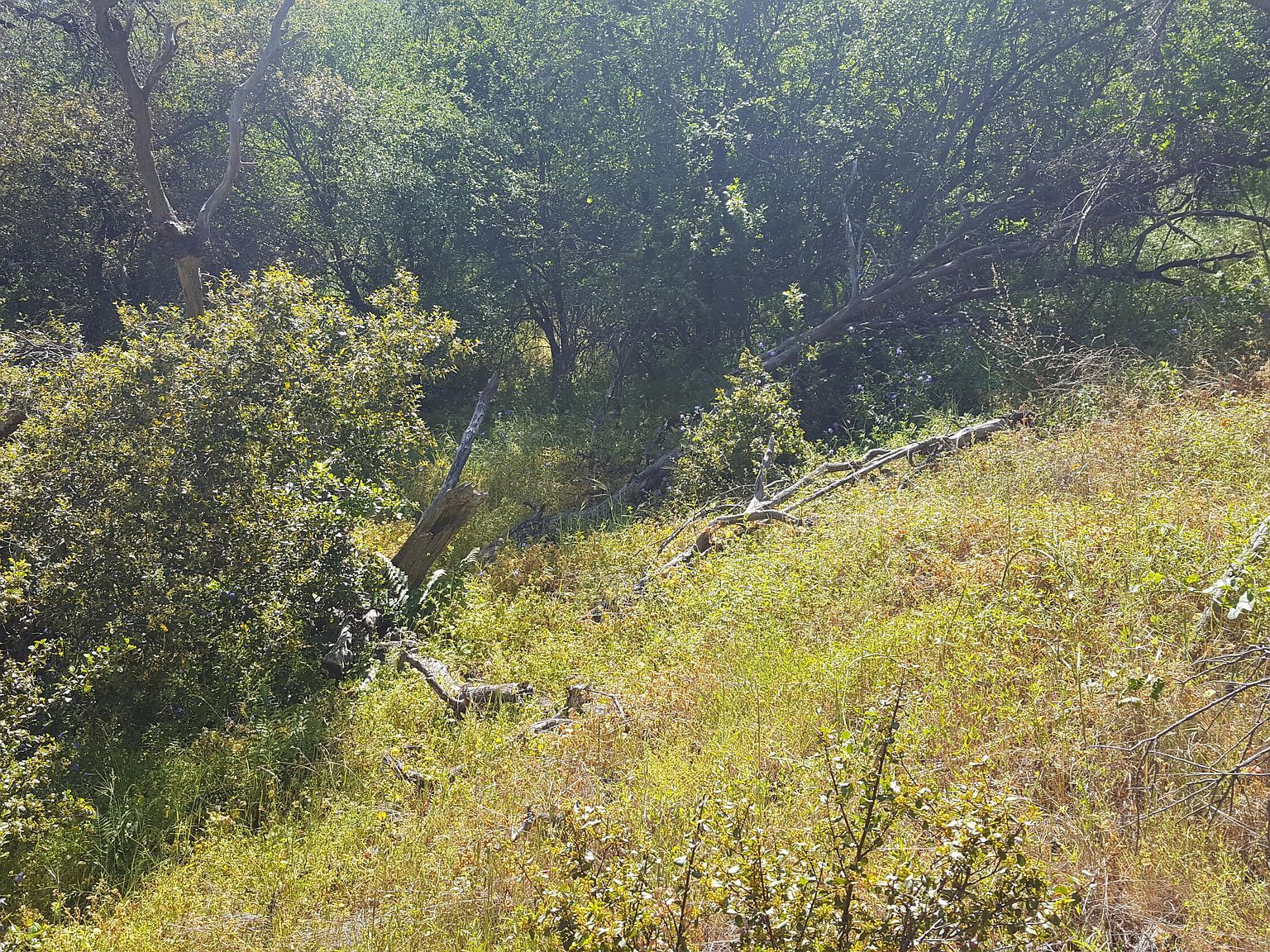 LOT 24 Rocking K Dr California Hot Springs, CA 93207 - Thumbnail 4