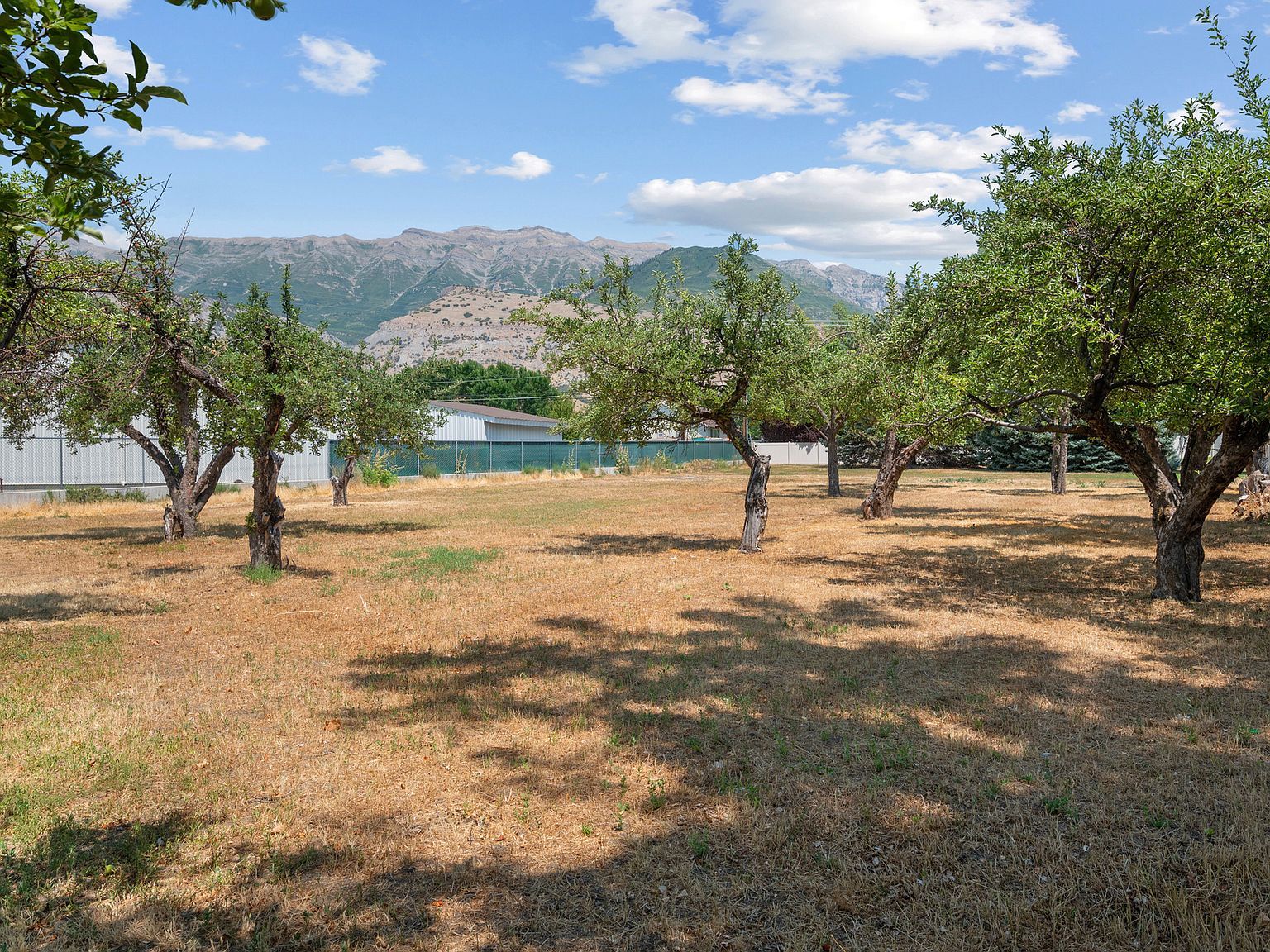 433 N Locust Ave Lindon, UT 84042 - Thumbnail 4