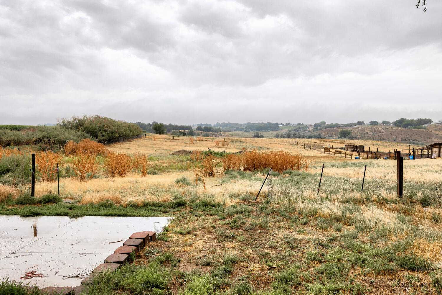 2501 North Side Road, Homedale, ID, USA, 83628 - Thumbnail 4