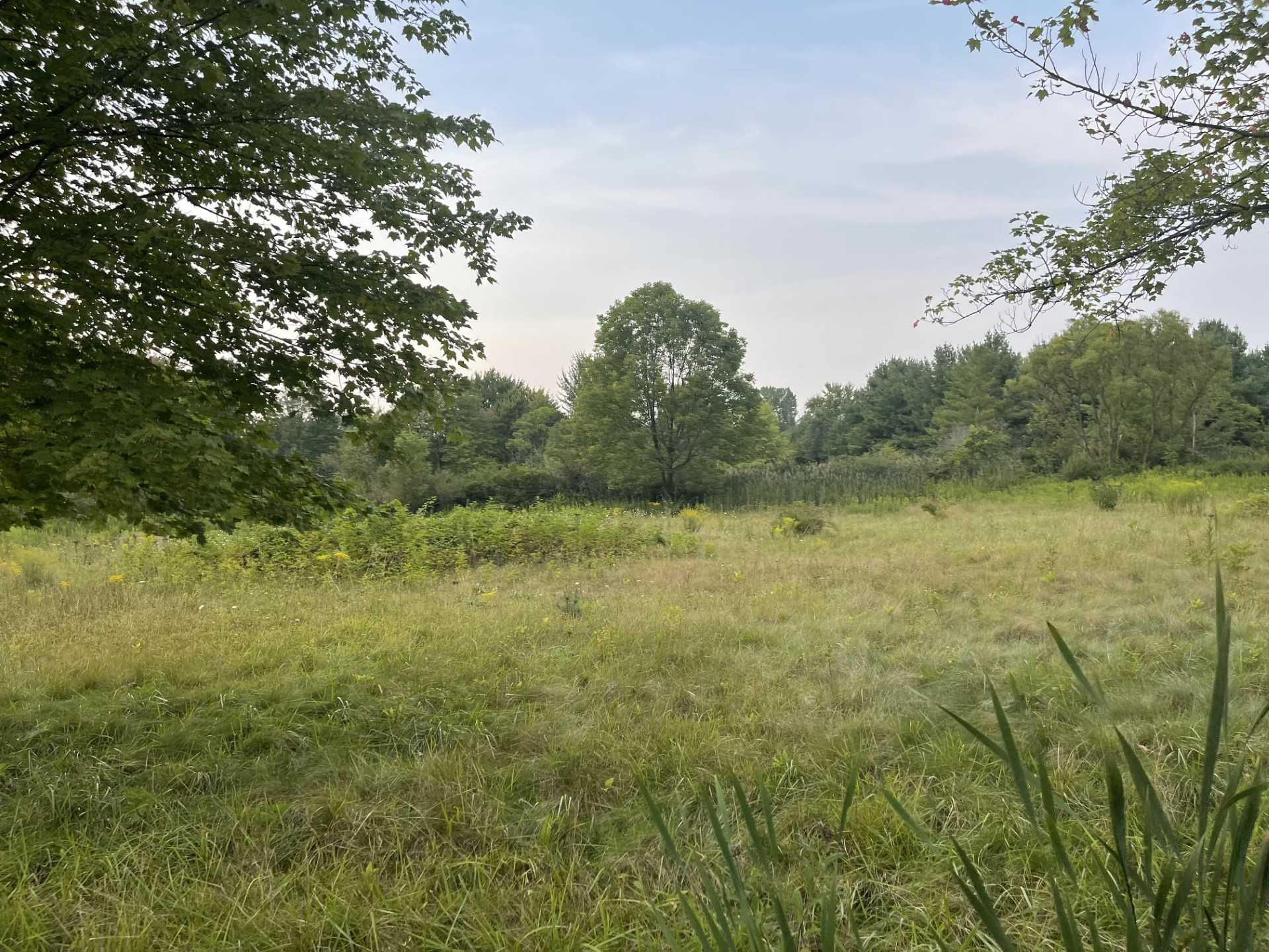 VL Ward Drive, Chesterland, OH, 44026  | Land/Lot