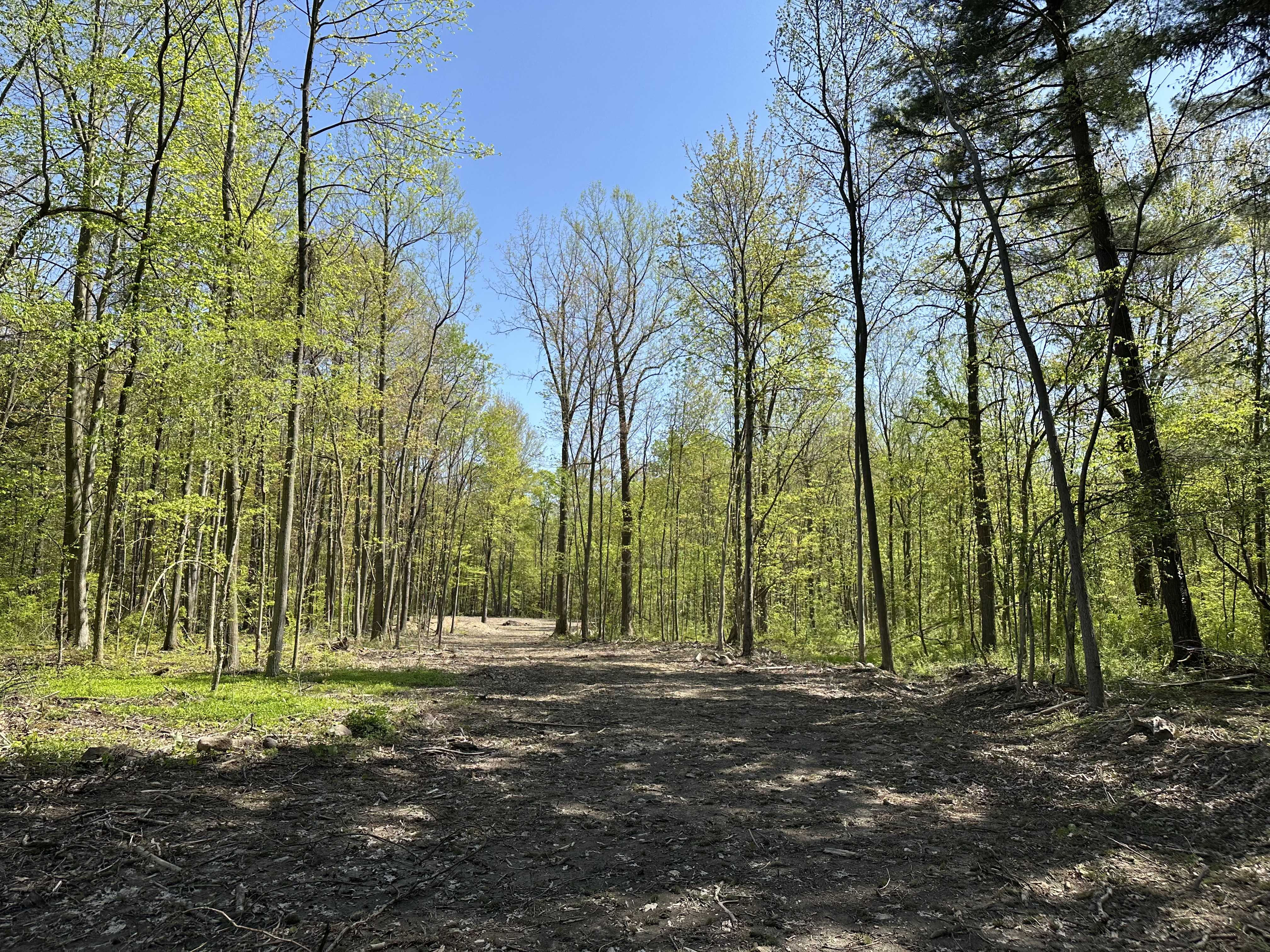 11611 Washington St, Chagrin Falls, OH, USA, 44023 - Thumbnail 4