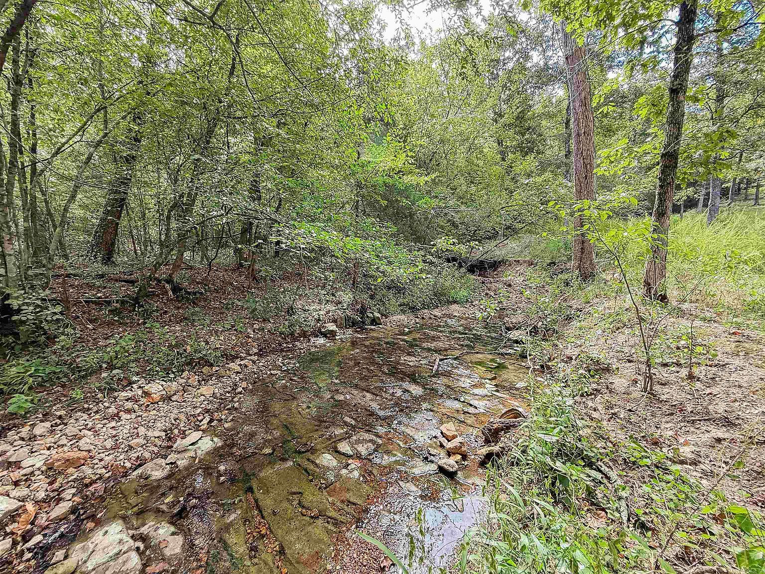 (undisclosed Address) Hardy, AR 72542 - Thumbnail 4