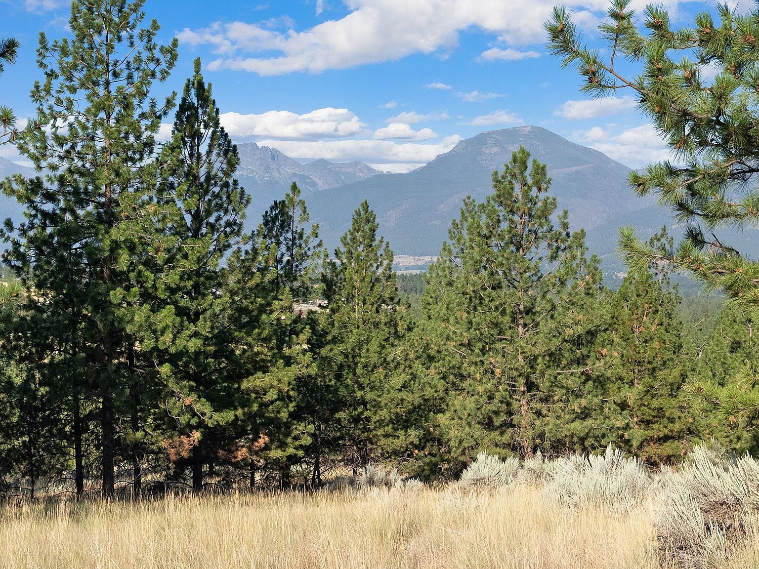 Nhn Stans Way Stevensville, MT 59870 - Thumbnail 4