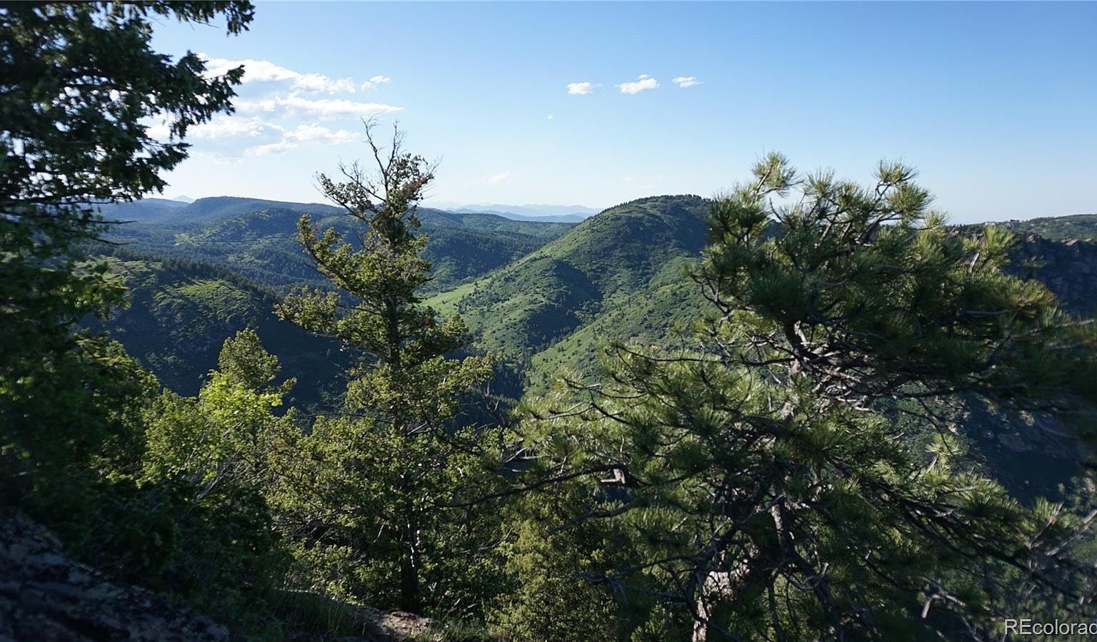 13864 N Trail Cir Littleton, CO 80127 - Thumbnail 4