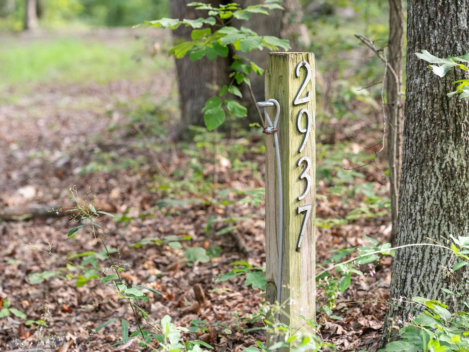 2937 Blount Dr Bumpass, VA 23024 - Thumbnail 4