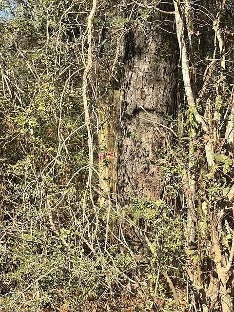 Tbd Lee Turner Rd Cleveland, TX 77328 - Thumbnail 4