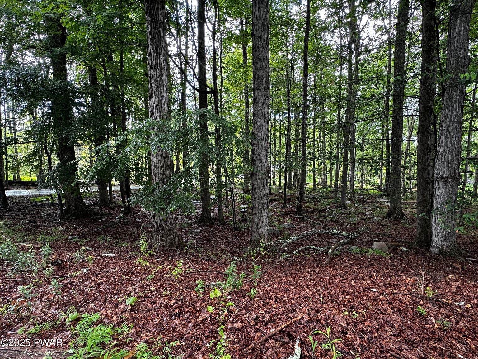 101 Elm Ln Greentown, PA 18426 - Thumbnail 4