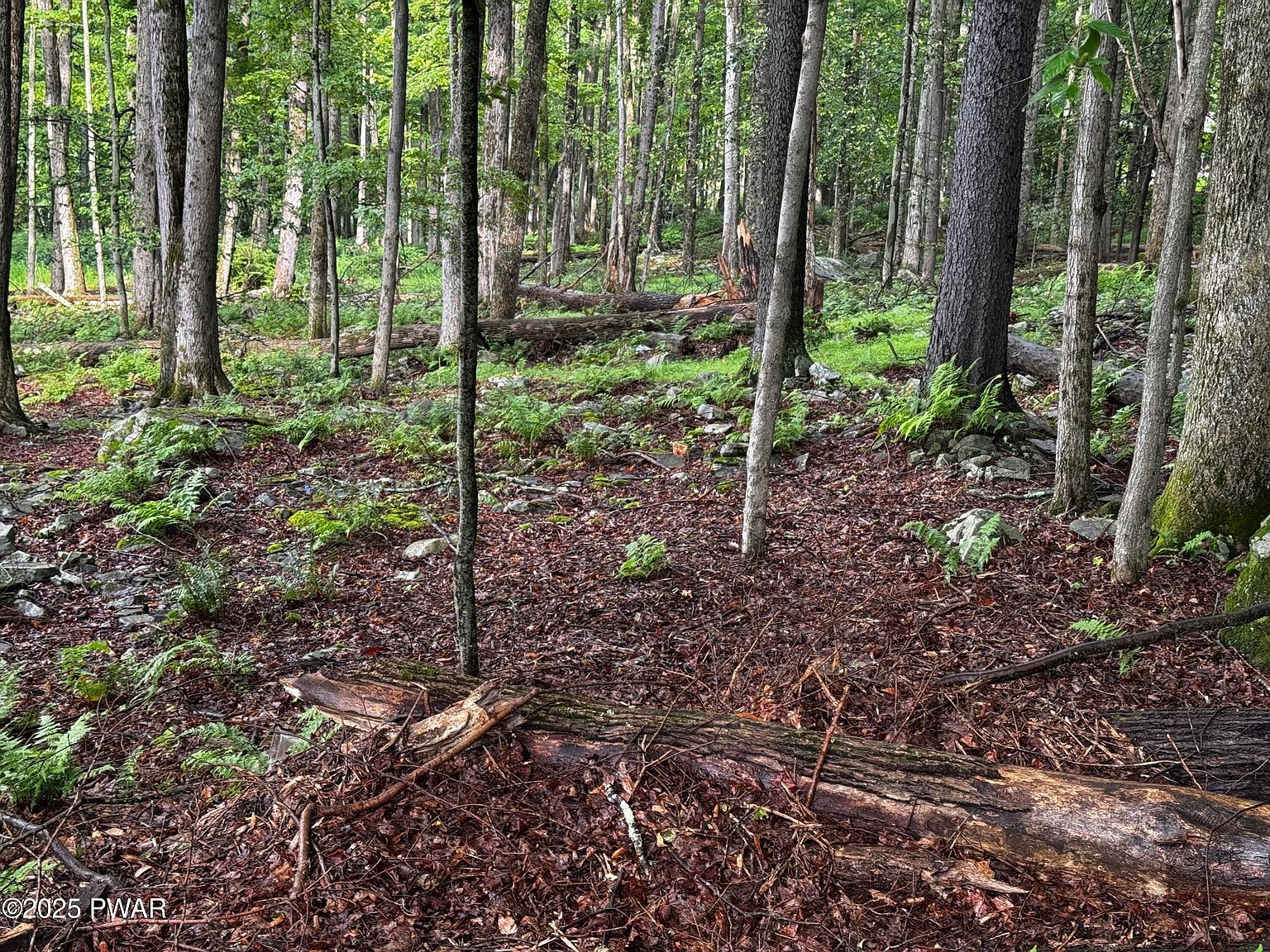 103 Elm Ln Greentown, PA 18426 - Thumbnail 4