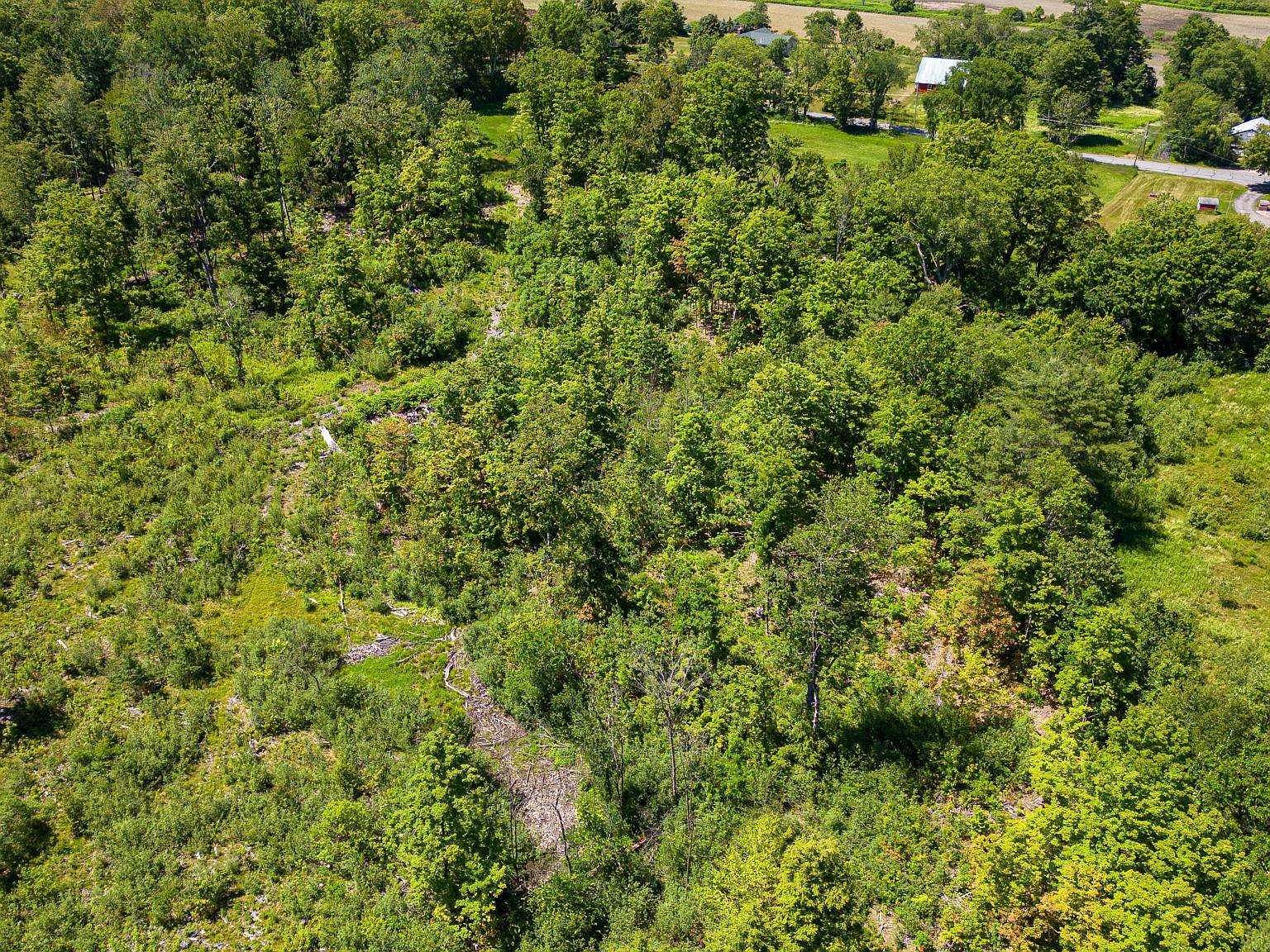 458 Cheshire Tpke #2 Alstead, NH 03602 - Thumbnail 4