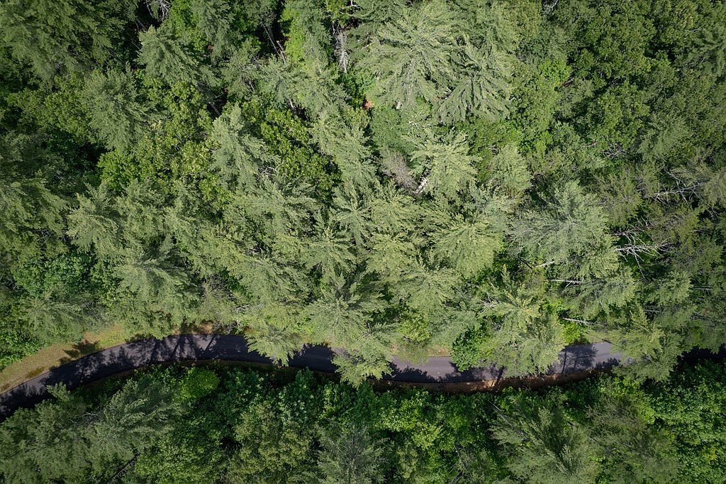 Spectacular Blvd Lot 11 Hayesville, NC 28904 - Thumbnail 4