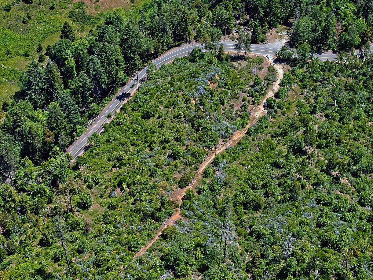 0 Lower Wolf Creek Rd #400 Wolf Creek, OR 97497 - Thumbnail 4