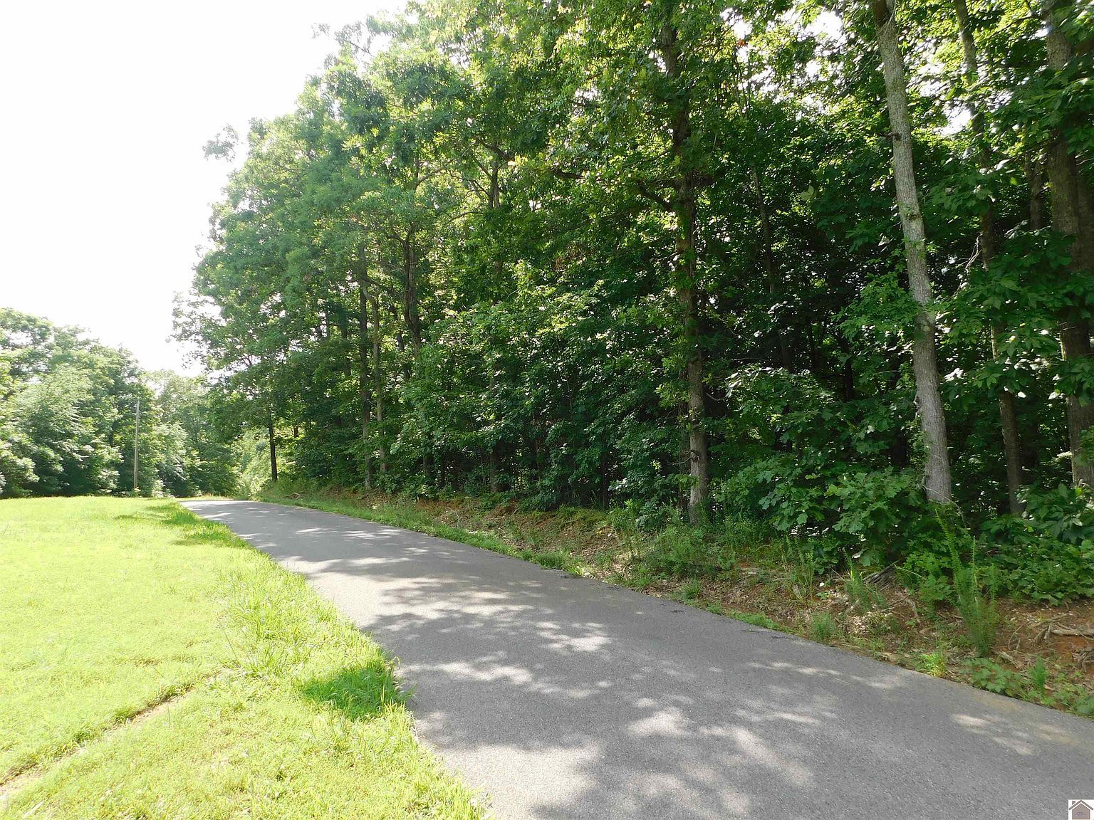 6 Patty Acres Eddyville, KY 42038  | Land/Lot
