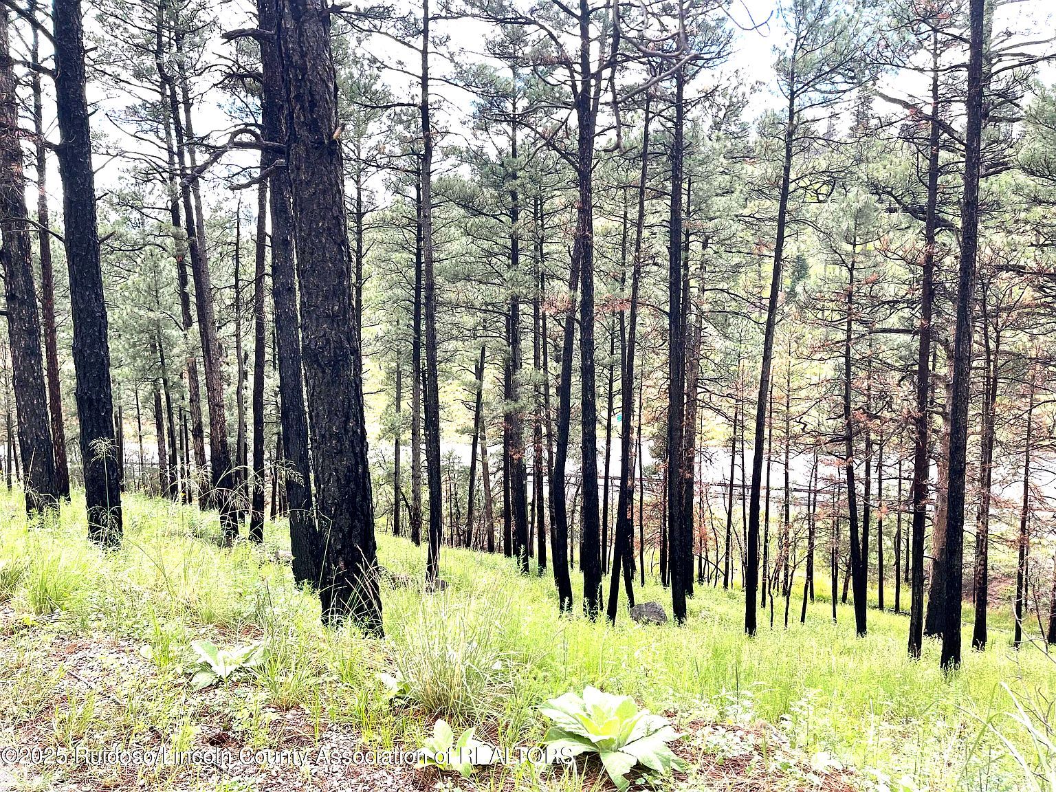 LOT 12 Brentwood Dr Alto, NM 88312 - Thumbnail 4