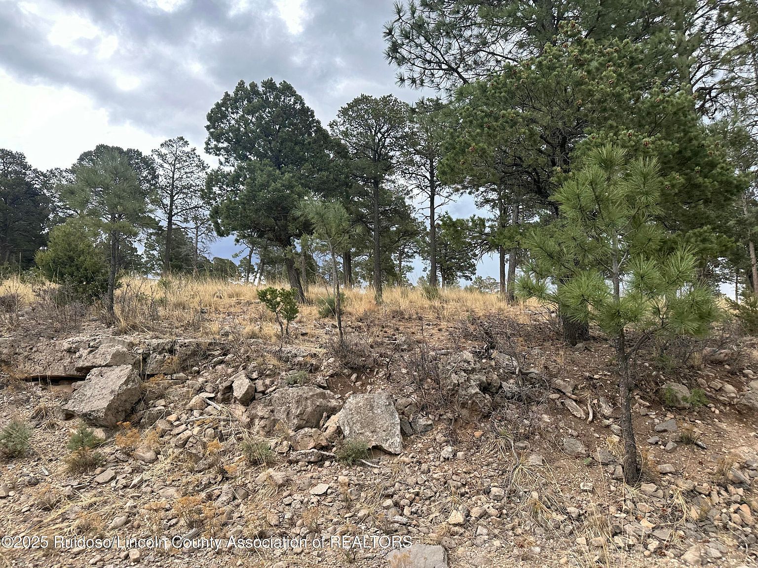 100 Avalon Ct, Ruidoso, NM, 88345 - Thumbnail 4