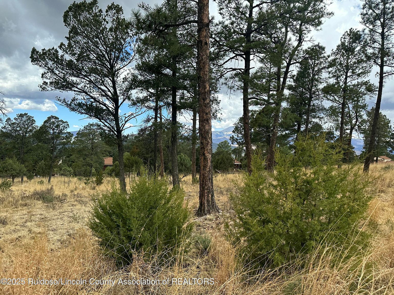 102 Avalon Ct Ruidoso, NM 88345 - Thumbnail 4
