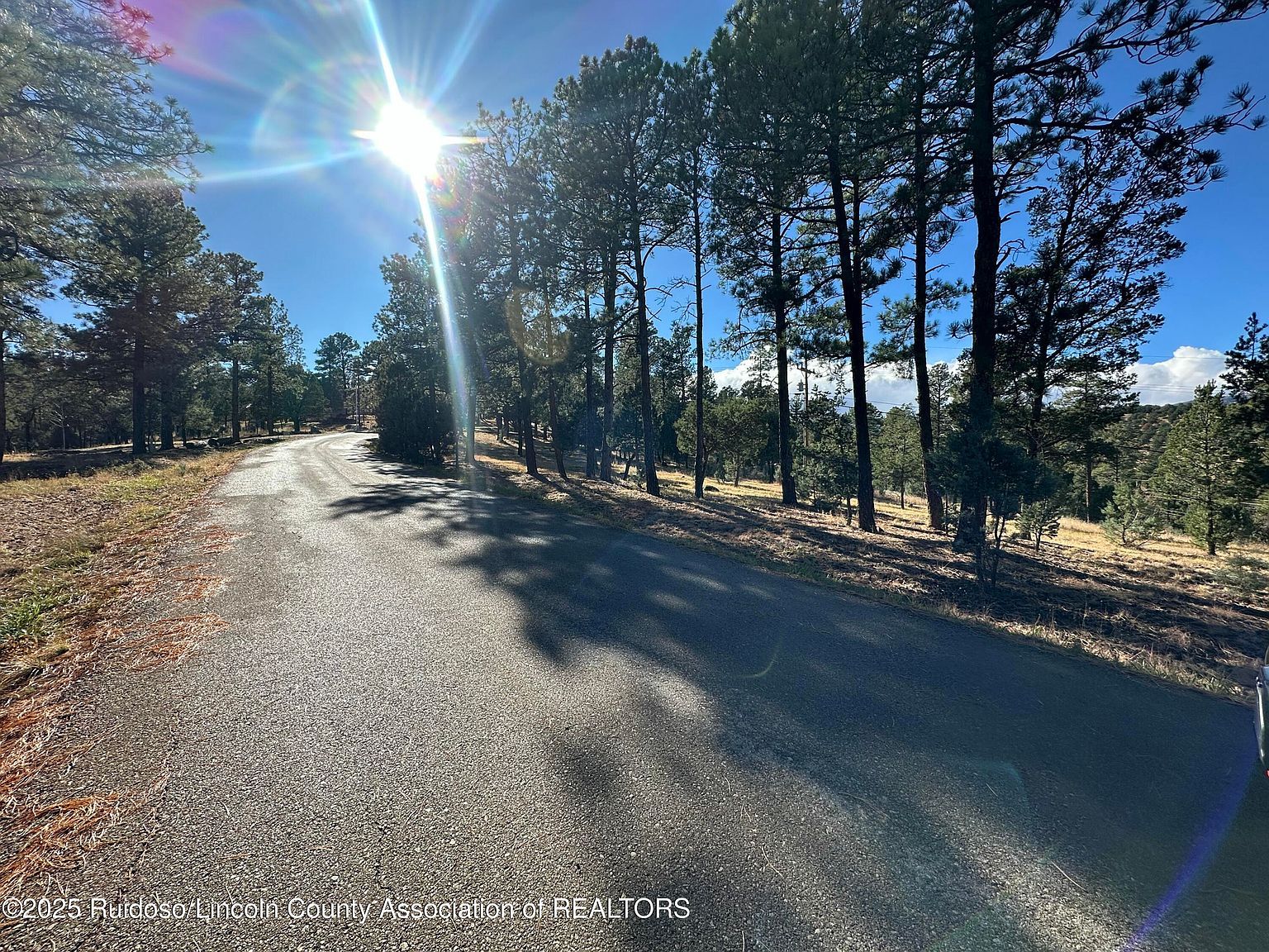 152 Del Monte Dr Alto, NM 88312 - Thumbnail 4